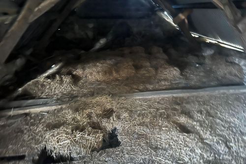 Pose d'un plancher et isolation