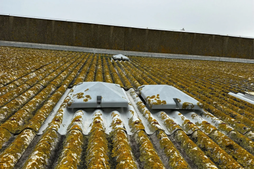 Remplacement de l'isolation + pose de la toiture complète et du bardage